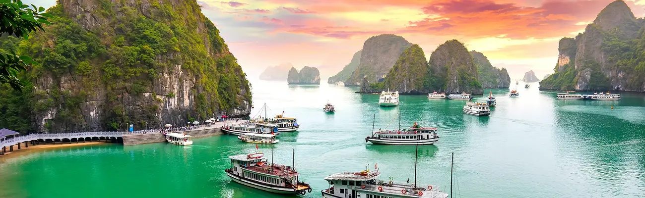 ویزا ویتنام (Viet Nam E-Visa)